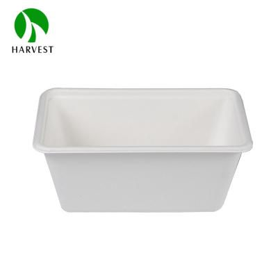 China 1000ml Biodegradable White Rectangular Compostable Pulp Takeaway Disposable Box for sale