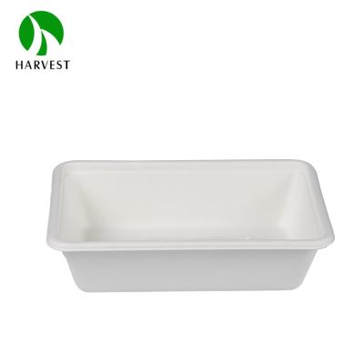 China 650ml Sustainable Rectangular Disposable Pulp Biodegradable Take Away Food Box for sale