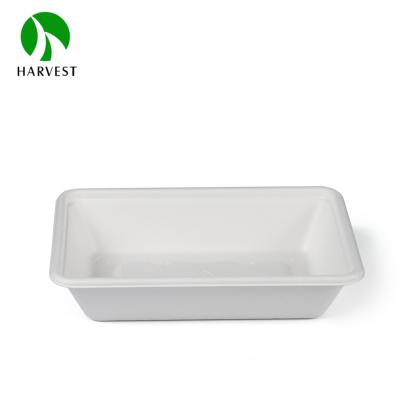 China 500ml Rectangular Disposable Pulp Biodegradable Biodegradable Take Out Food Box for sale