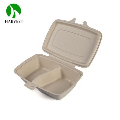 China Biodegradable Rectangle Compartment Microwavable Hinged Pulp Bagasse Food Container for sale