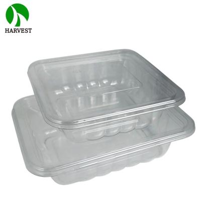 China Salad PET 16Oz 32Oz Disposable Plastic Food Packaging Bowl With Inserted Tray for sale