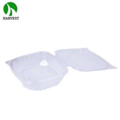 China Freshness Preservation 12 Ounce Square Clear Bowl Container Takeout Food Boxes Packaging for sale