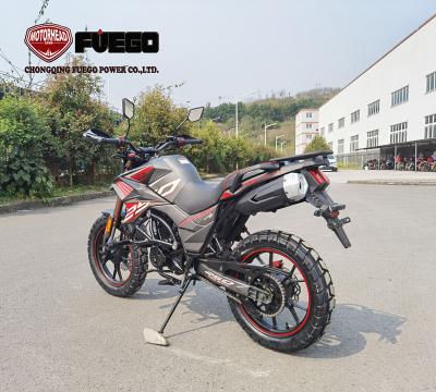 China 250cc 2 wheel motorcycle TEKKEN250 13L for sale