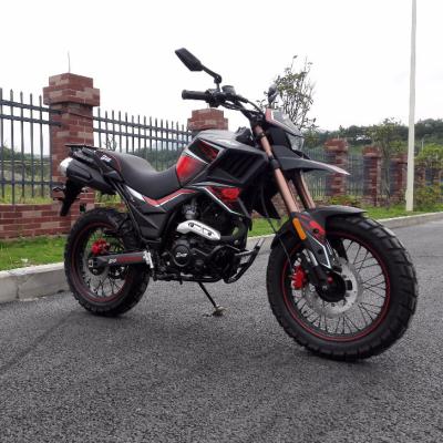 China 2016 TEKKEN motorcycles 300cc.led lights dirt bike.led lights cheap motorcycles 250cc. Rear 130/90-15 Front 110/90-16 for sale