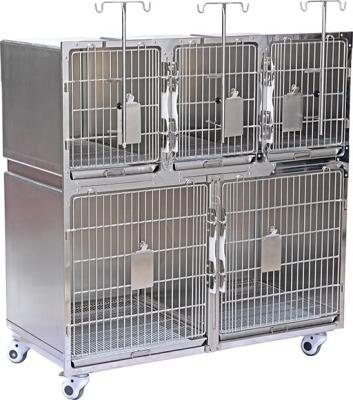 China pet store/hospital pet store or hospital equipment stainless steel veterinary pet cages for sale for sale