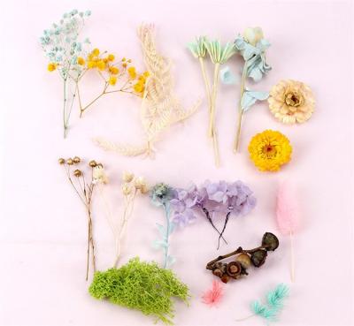 China Package Green Eternal Festival Materials Environmental Protection Flower DIY Handmade Products Dried Mixed Flower Materials Wholesale for sale