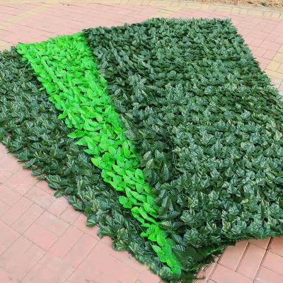 China Cheap 1x3m Artificial Leaf Fence For Outdoor Decoration From Eco - Friendly Supplier for sale