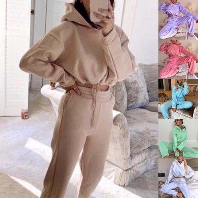 China Autumn And Winter Sports Casual Hot Sale Anti-pilling Pullover Hoodies Set Two-piece Set Sweatpants for sale