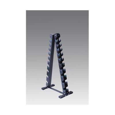 China High End Gym Technology Industrial Equipment Storage Rack Dumbbell for sale