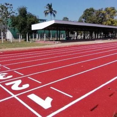 중국 Eco Friendly Prefabricated Rubber Running Track With IAAF Approved 판매용