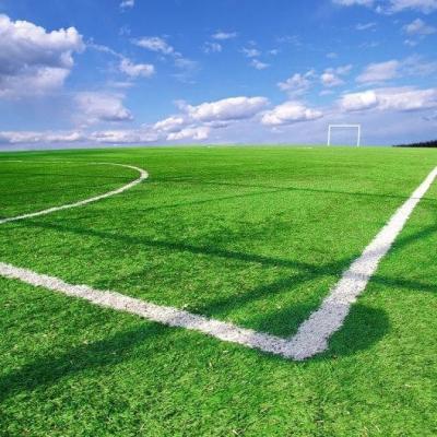 Chine UV d'herbe artificielle synthétique de terrain de football anti pour aménager l'ODM en parc d'OEM de décoration à vendre