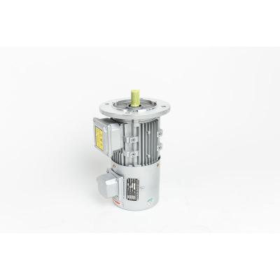 China Waterproof 2021 High Efficiency Three Phase Asynchronous Motor With Good Price for sale