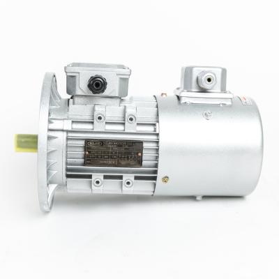 China Waterproof three phase asynchronous motor manufacturer has quality guarantee and provide 24 hours after-sale service for sale