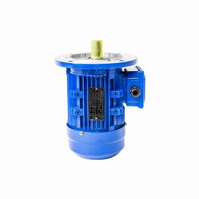 China high efficiency drip-proof three phase asynchronous motor vertical waist center flange for sale