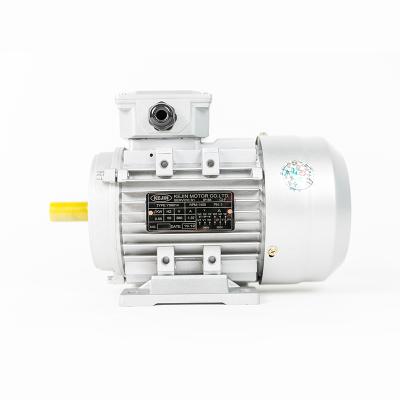 China Customization Pin Ys Series 0.37kw/0.55kw 380 Pin Ys Series Shell Motor Three Phase Asynchronous Inline Asynchronous Aluminum Micro Motor for sale