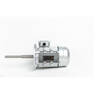 China drip-proof extended spindle motor supplier, quality assurance, delivery home within 15 days for sale