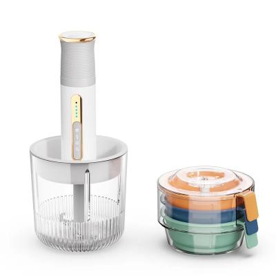 China Multifunctional Factory Chargeable Mini Portable Seasoning Garlic Chopper Machine Onion Blender DC For Home Use for sale