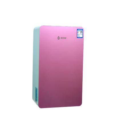 China Hotel Flue Natural Type Gas Water Heater / Gas Boiler / Calentador De Agua for sale