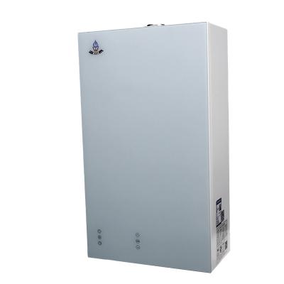 China Hotel Wholesale Dual Function Low Nitrogen Condensing Wall Mounted Gas Boiler For Home Heating Use for sale