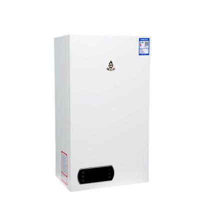 China Hotel Flue Type Instant Gas Water Heater Combi Gas Boiler Tankless Water Heater Gas for sale