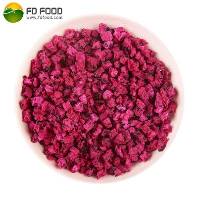 China LUJIA Factory Dry Supplier Freeze Dried Pitaya Dies Bulk Packing Freeze Dried Pitaya for sale