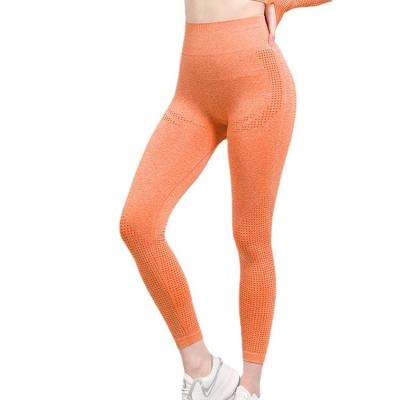 China New Running Design High Quality Breathable Use Gym Clothing Women Gaiters For Women Yoga Stretch Nylon Pants for sale