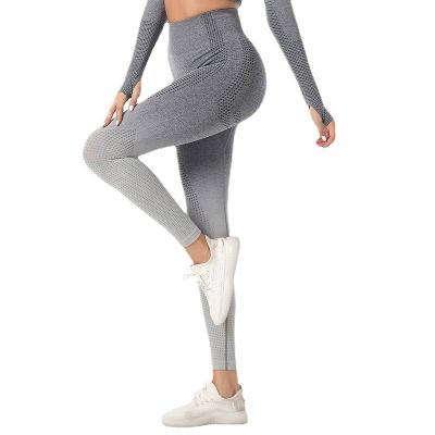 China Women Joggers New Arrival Fitness and Yoga Wear Gradient Breathable Leggings Butt Crac! crack! modest booty gym wear for women for sale