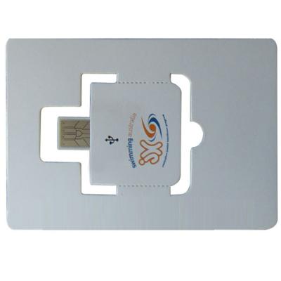 China Pivot webkey card usb 1 page bug 16MB webkey marketing tool paper card usb for sale