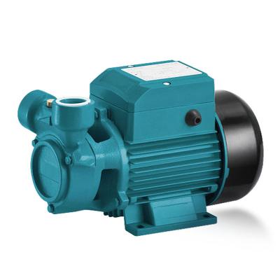 China Family Houses 220v 0.75hp 1hp Household Electric Vortex Water Pump for sale