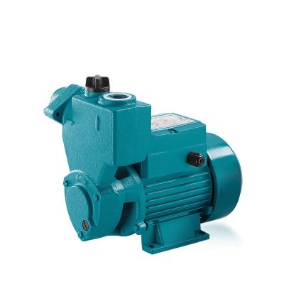 China Family Houses Factory Supply House Peripheral Pressure 1hp Water Flow Pump for sale