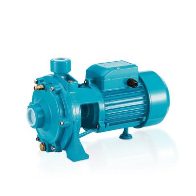 China Family Homes Hot Sale 1.5-15HP Irrigation High Pressure Water Pumps for sale