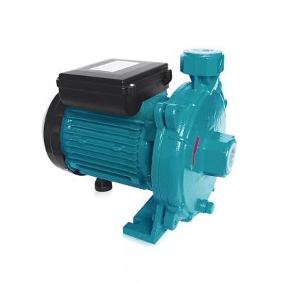 China Family Houses Water Pumps Small Centrifugal Pumps for Home for sale