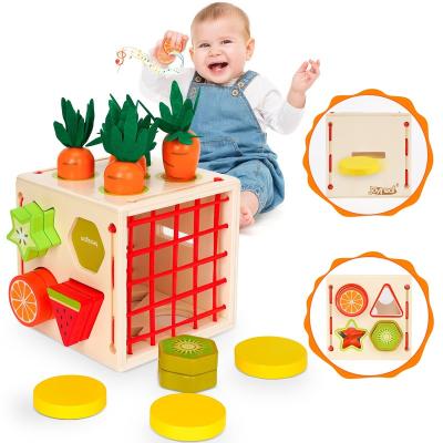 China Safety 5 in 1 Montessori Toys Ages 1 2 3 - Wooden Toys Matching Play Carrot Harvest Gifts for Kids for sale