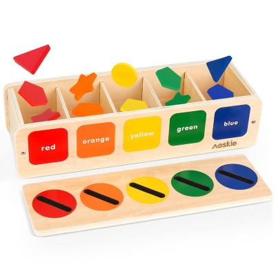 China Eco-friendly Material Montessori Toys Wooden Sorting Toys For Toddlers With Matching Box, Shape Sorter Color Educational Learning Toy For 1 2 3 Years Old for sale