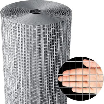 China Easily Assembled Hot Dipped Galvanized Welded Wire Mesh For Bird Cage Welded Wire Mesh Roll for sale