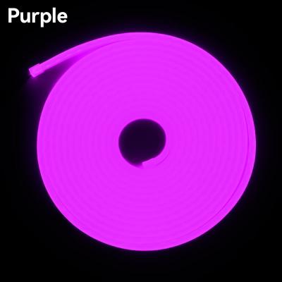 China LANDSCAPE Decoration Lighting High Brightness 6*12mm Neon Rope DIY Neon Signs Logo Rose Light Silicone Cable Led Neon Lights For Club for sale