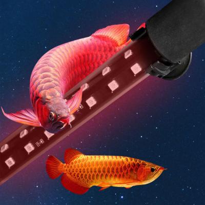 China 240 Degree Wide Angle Aluminum +Glass LED Aquarium Waterproof LED Fish Tank Light, Red White And Blue Submersible for sale