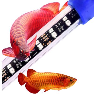 China 270 Degree Waterproof Aquarium LED Submersible Light Bar Lighting Lamp A-60 White And Cool Blue for sale