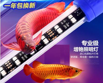 China Waterproof LED Aquarium LED Light Submersible Down Underwater LED Lighting IP68,dsuny A-60 Aquarium Accessories for sale