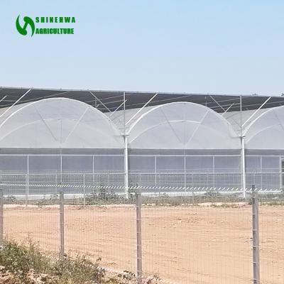 China Fruit Flowers Multi-span Film Greenhouse Vegetable Frame With Hydroponics For Agriculture Vegetable Growing for sale