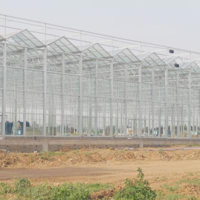 China PC Greenhouse Agrotime Plastic Sheet Greenhouse And Selling Used Polycarbonate Greenhouse for sale