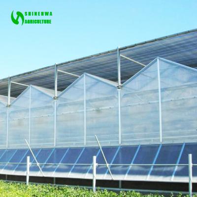 China PC Sheet China Agriculture Polycarbonate Greenhouse For Vegetables / Flowers / Fruit / Gardens for sale