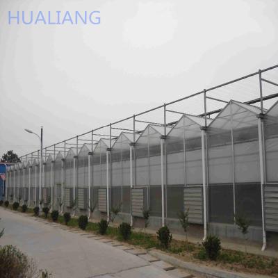 China Vegetable And Horticulture Greenhouses Polycarbonate Agricultural Greenhouse With Hydroponic Container System for sale