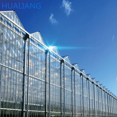 China Multi-span Commercial Glass Greenhouse Cheap Greenhouse Agriculture Hydroponic Greenhouse for sale