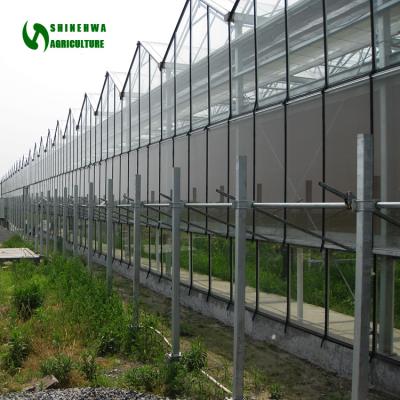 China High Light Transmittance Greenhouse Chinese Multi-span Greenhouses Glass Greenhouse With Vertical Hydroponic System for sale