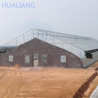 China Flower Vegetable Growing Single-span Tunnel Greenhouse Large Size Agricultural Greenhouse With Hydroponic Container System for sale