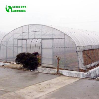 China PE 200 Micron Film Tunnel Greenhouse Vegetable Growing Tunnel Indoor Greenhouse Tunnel Greenhouse for sale