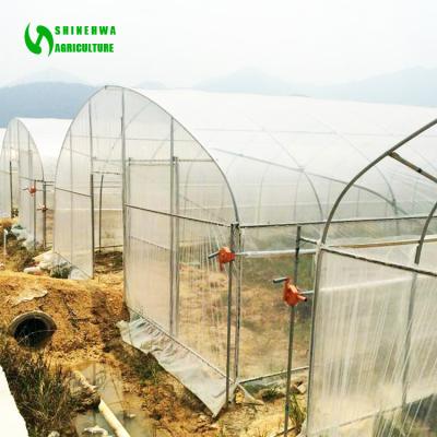 China High PE tunnel greenhouse steel frame small tunnel agricultural plastic singlespan greenhouses for sale for sale