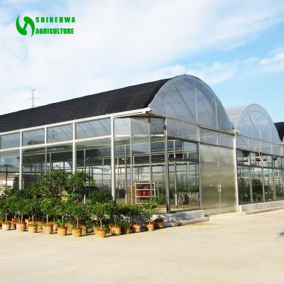 China Medical Hemp Multi-span Green House Greenhouse Light Deprivation Blackout Growing Plastic Greenhouse With Vertical Hydroponic System for sale