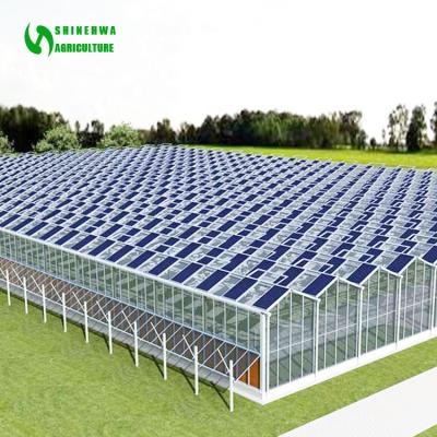 China Multispan Flower Fruit Vegetable Glass Solar Panel Greenhouses Agricultural Greenhouses With Hydroponic Growing Systems For Sale for sale